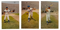 1959 Los Angeles Dodgers Postcard Complete Set (12)