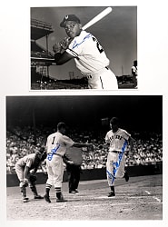 Signed Hall of Fame & Star Photo Collection (21) with Ted Williams 16x20 & Willie Mays 11x14
