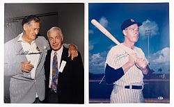 Hall of Fame/Star Signed 16x20 Photographs (6) with Ted Williams, Joe DiMaggio & Hall of Fame Catchers