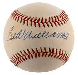 Ted Williams Single-Signed OAL/Brown Baseball