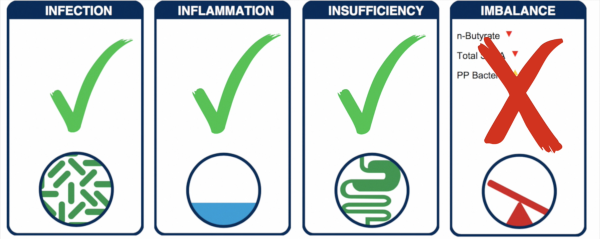 Stool Testing Results - The Wellnest by HUM Nutrition