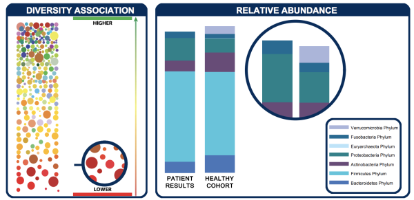 Stool Testing Results - The Wellnest by HUM Nutrition