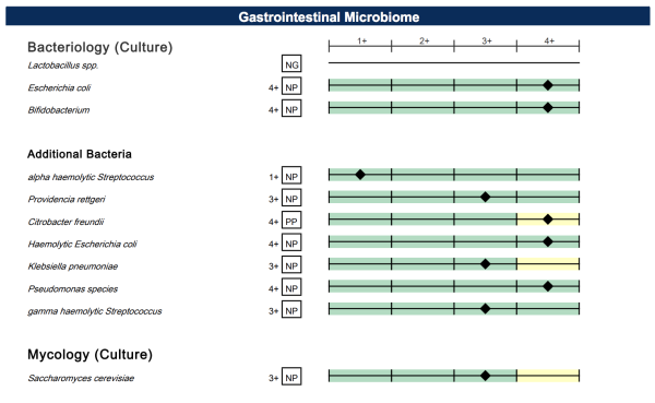 Stool Testing Results - Microbiome - The Wellnest by HUM Nutrition