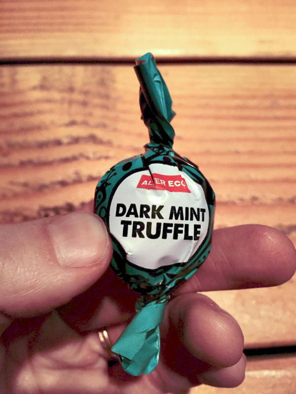 Dark Mint Truffle - Registered Dietitian Food Diary - The Wellnest by HUM Nutrition