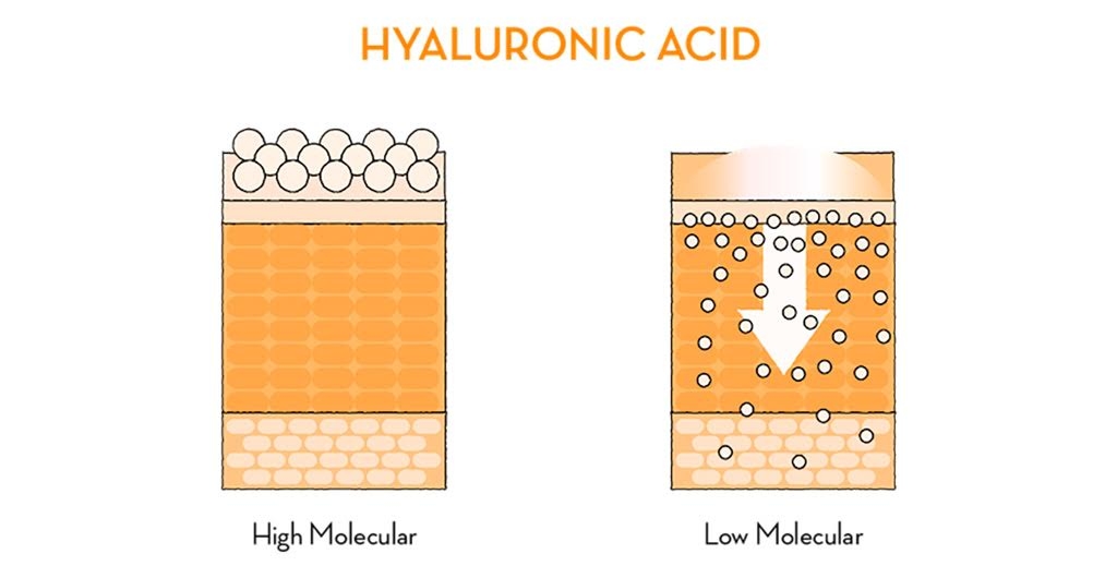 Hyaluronic Acid - The Wellnest by HUM Nutrition