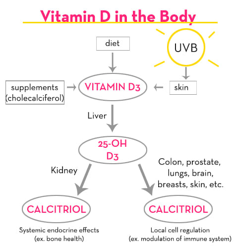 Vitamin-D Deficiency: What You Should Know - HUM Nutrition Blog