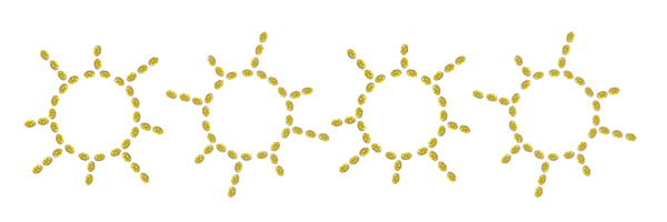 sunshine - Vitamin-D Deficiency - The Wellnest by HUM Nutrition