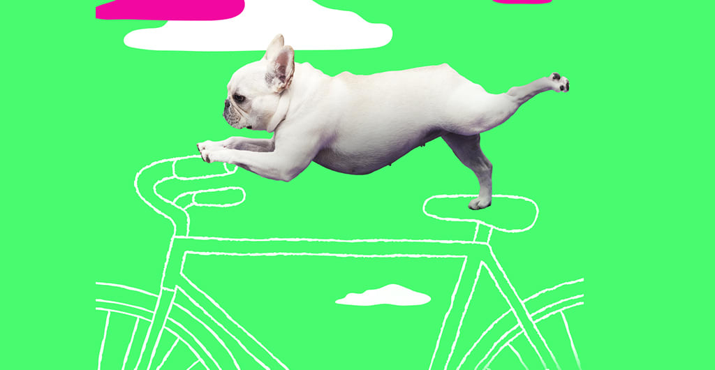 5 GutFriendly Foods to Balance Digestion + DIY Yogurt! HUM Nutrition