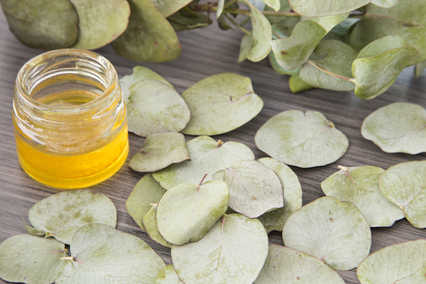 Eucalyptus Oil - Seasonal Allergy Hacks - The Wellnest by HUM Nutrition