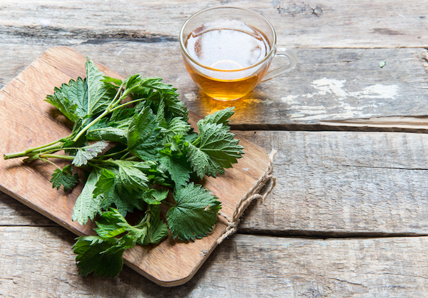 Stinging Nettle - Seasonal Allergy Hacks - The Wellnest by HUM Nutrition