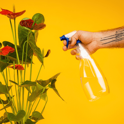 Sustainable digital products