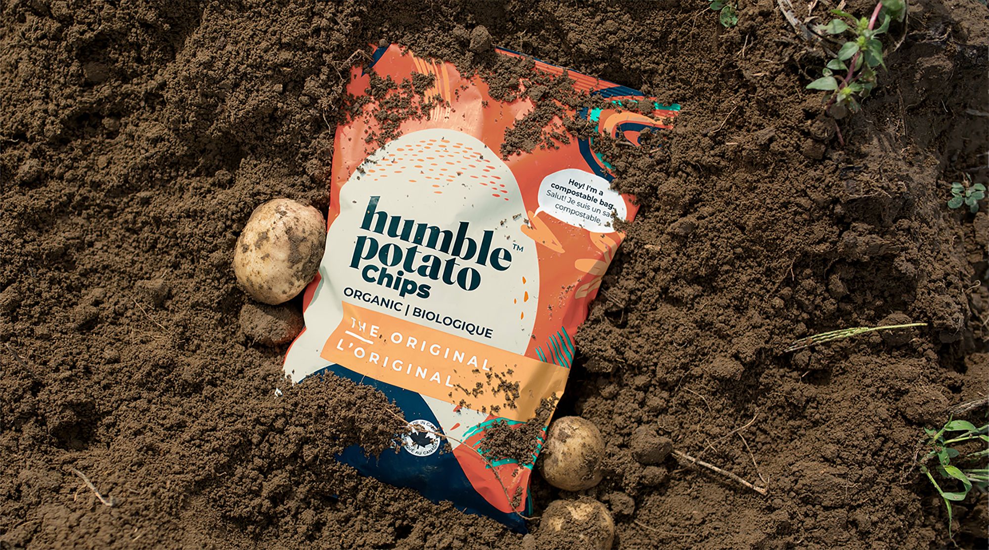 Details 75+ compostable bags canada esthdonghoadian