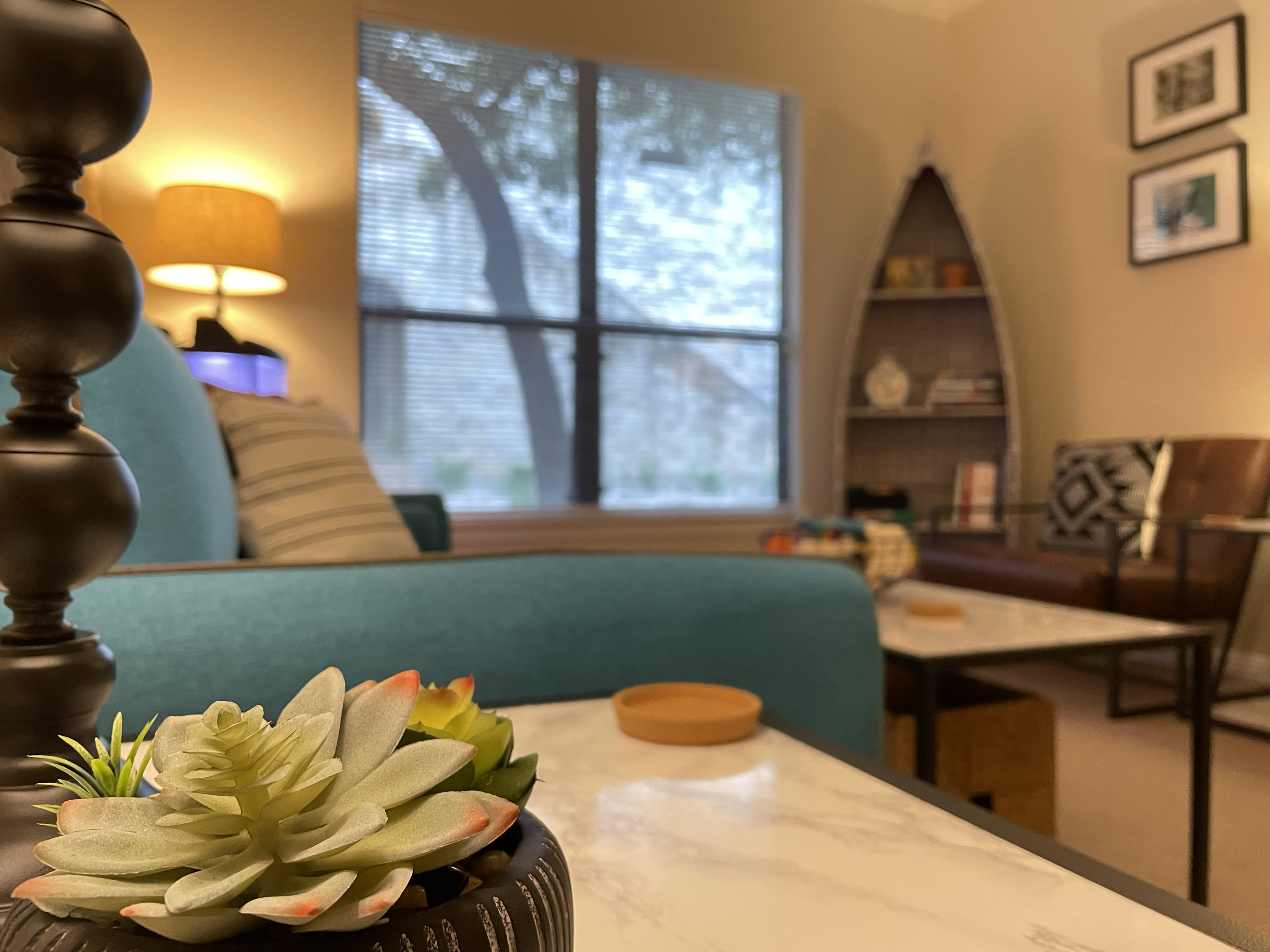 A therapy room in our NW Austin office with a teal couch and succulents