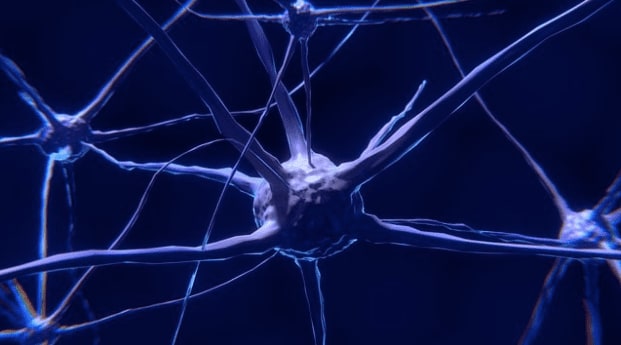 stress responses need help from qualified trauma therapists at Hope For The Journey