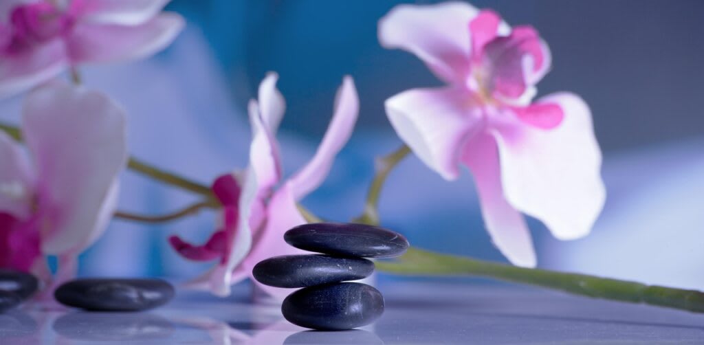 A serene setting with stones and an orchid reflected in water