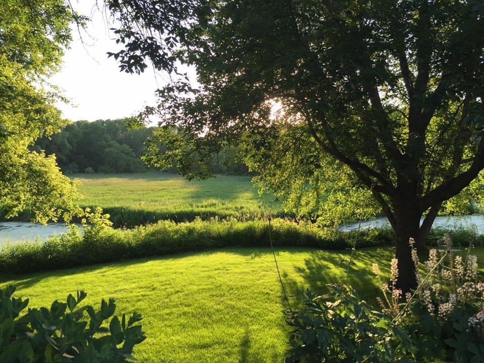 A tranquil landscape with a green lawn and trees by the water.