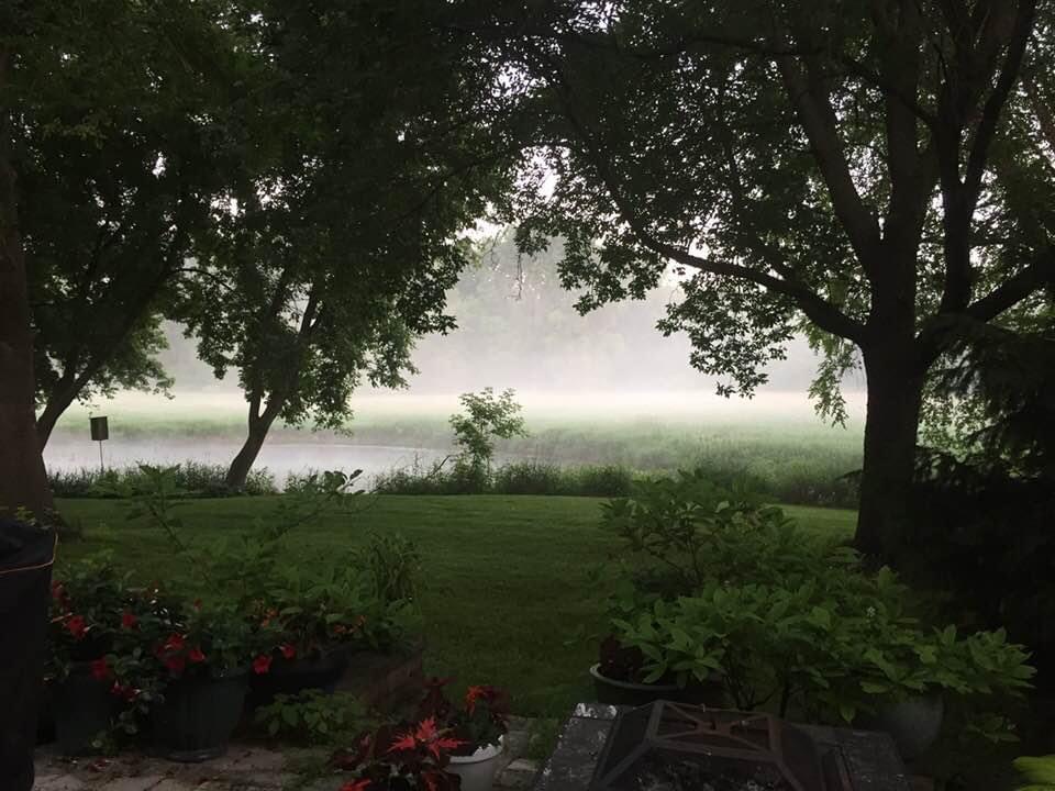 A tranquil misty morning by the lake, framed by lush greenery.