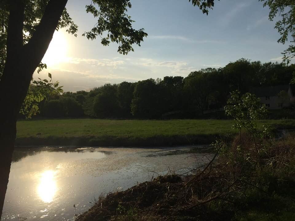 A tranquil sunset over a river with lush greenery surrounding it.
