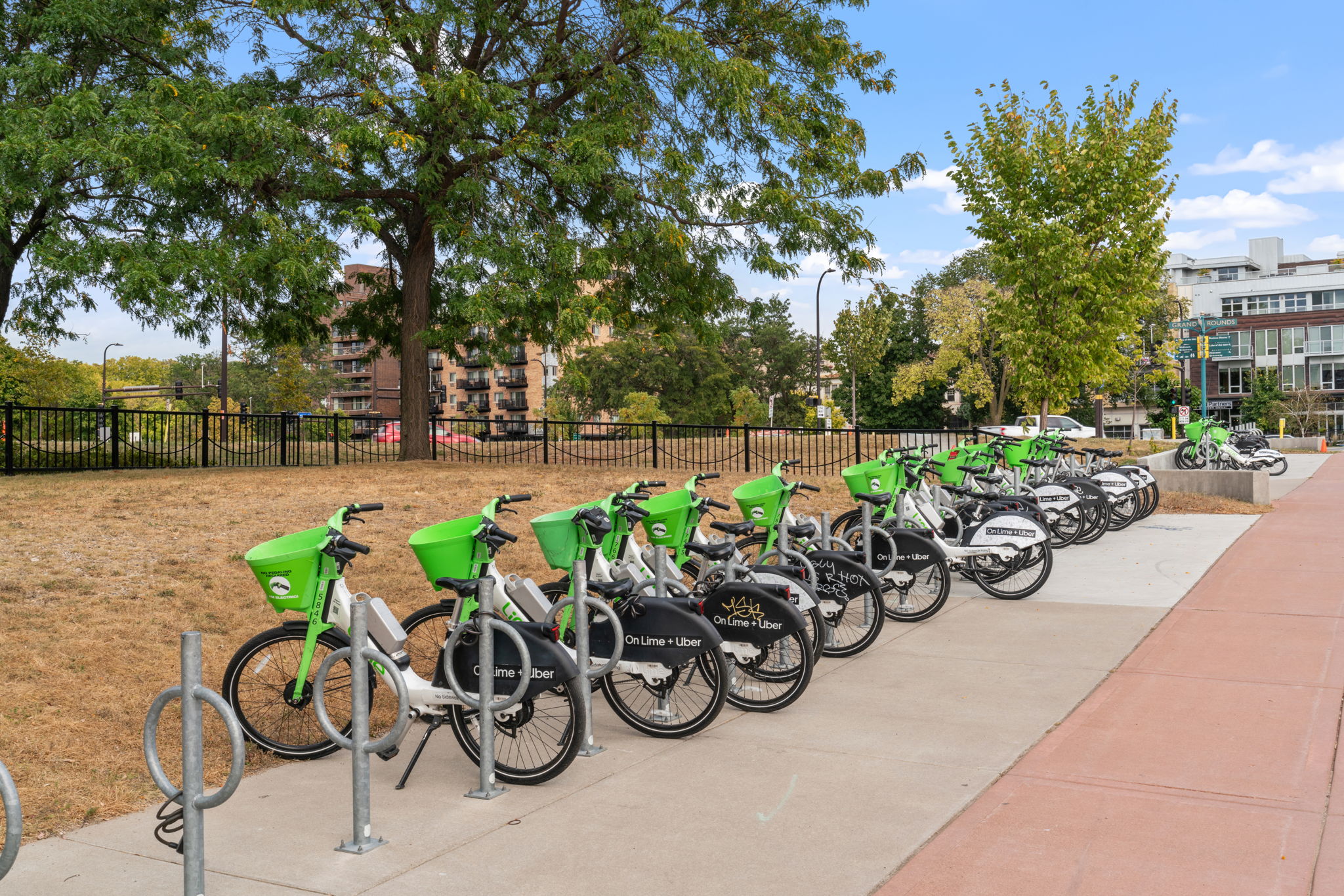 A row of shared bikes lined up in an urban park setting.