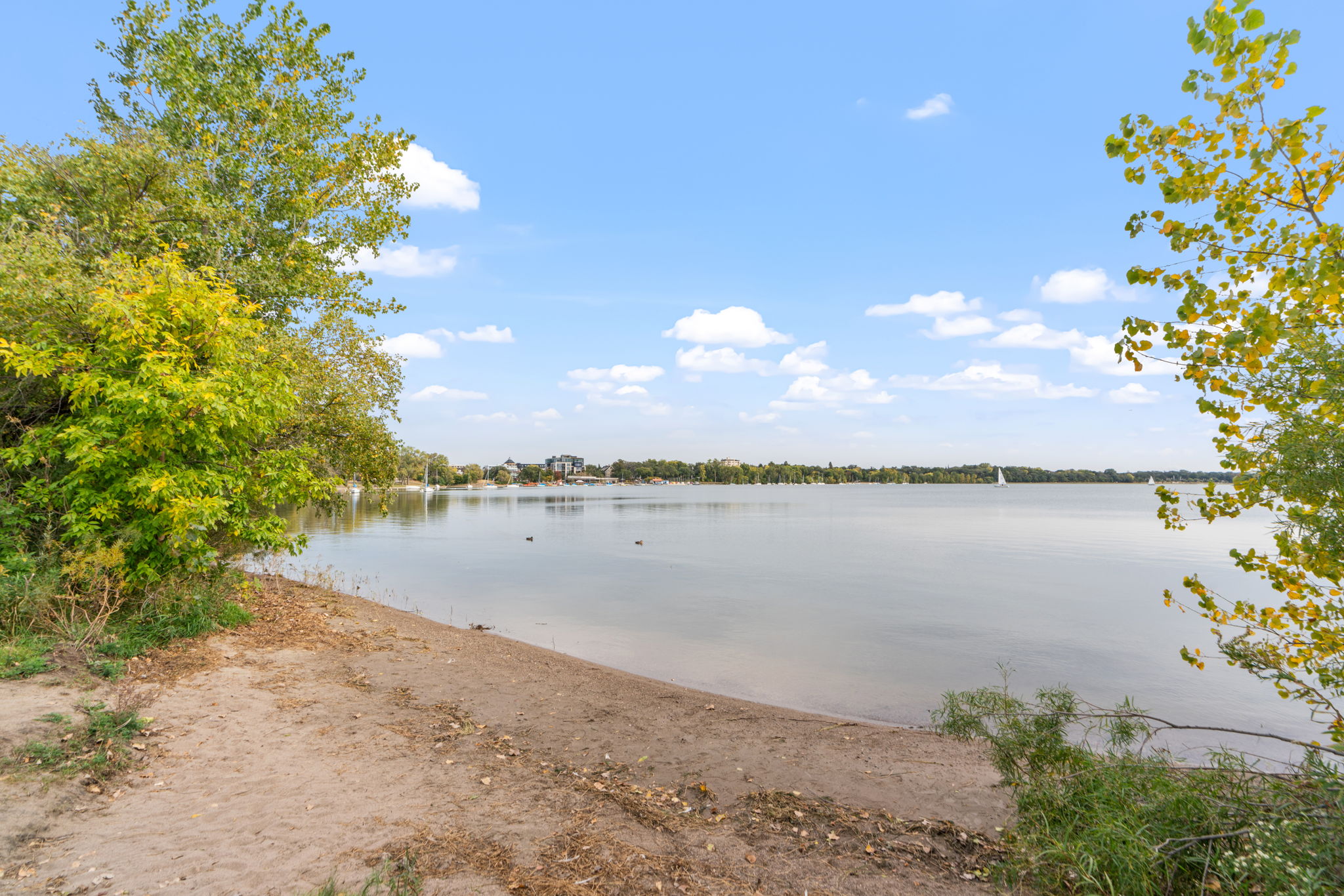 A tranquil lakeside scene with autumn foliage and a gentle breeze.