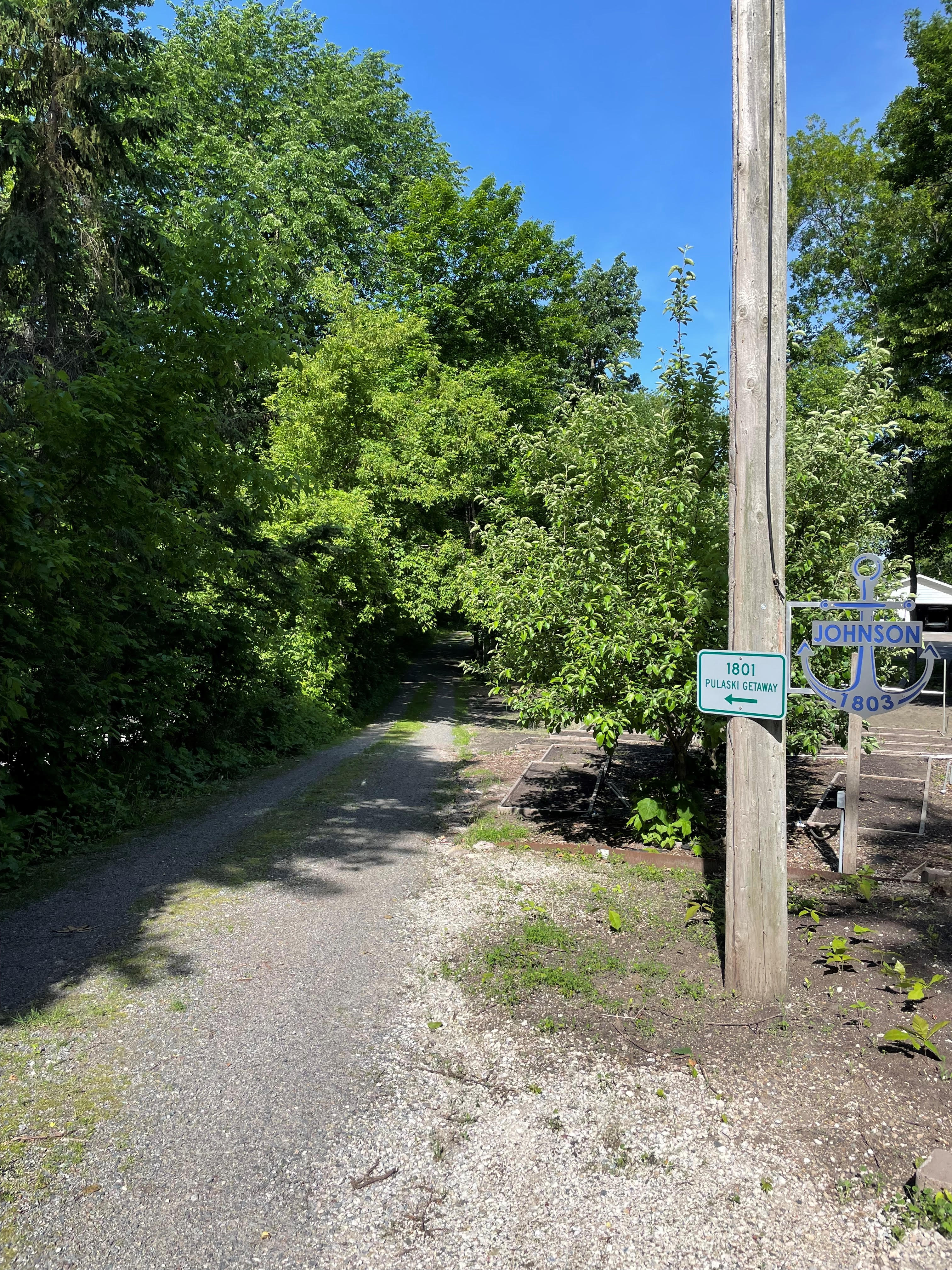 A serene dirt path surrounded by lush greenery, leading to a getaway with a directional sign.