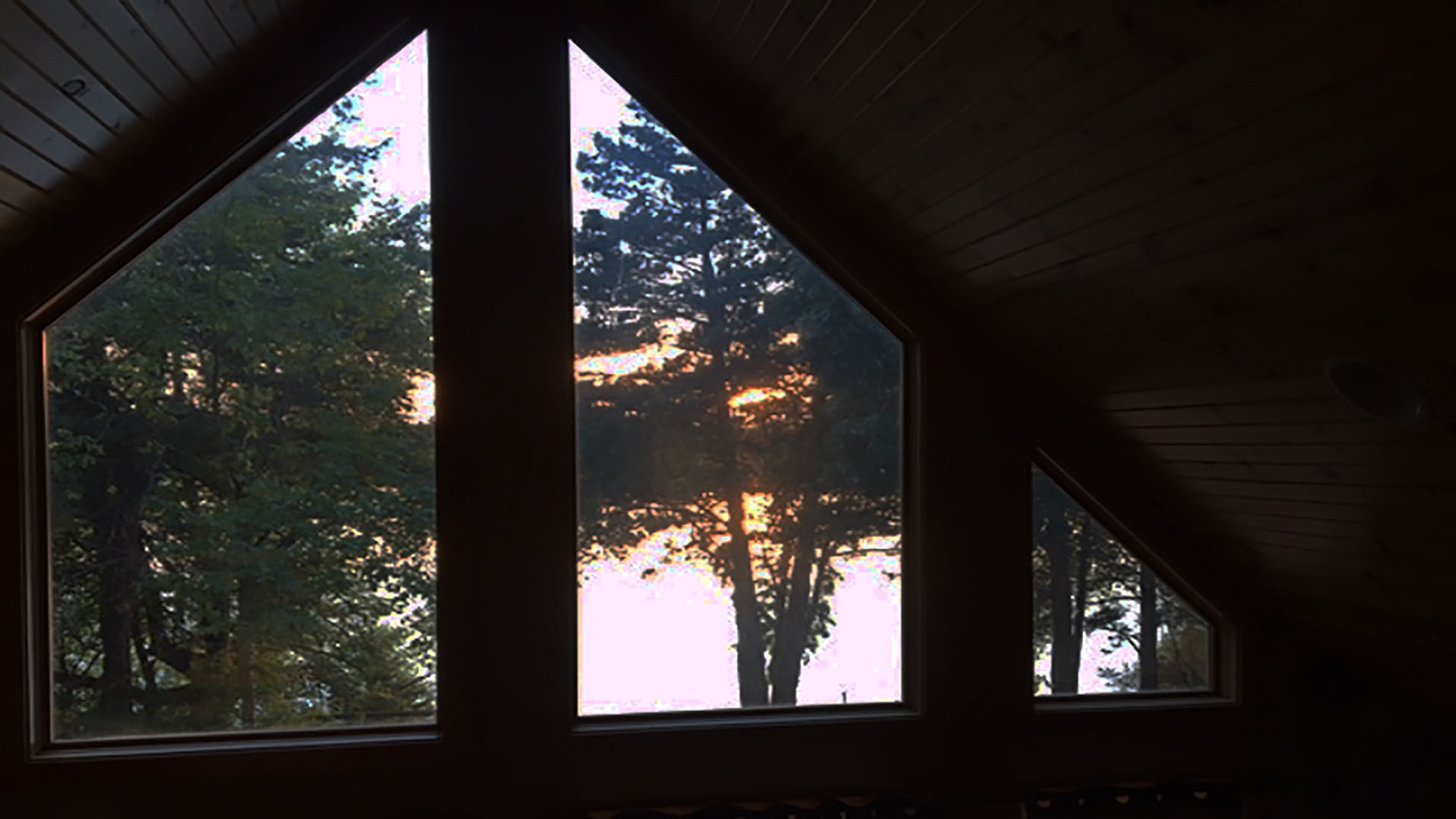 A serene cabin view featuring tall trees and a tranquil lake at dusk.