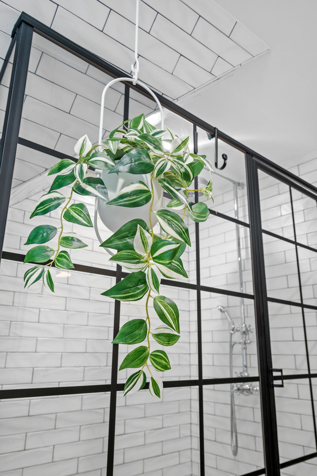 A modern shower space with a stylish hanging plant and sleek black-framed glass enclosure.