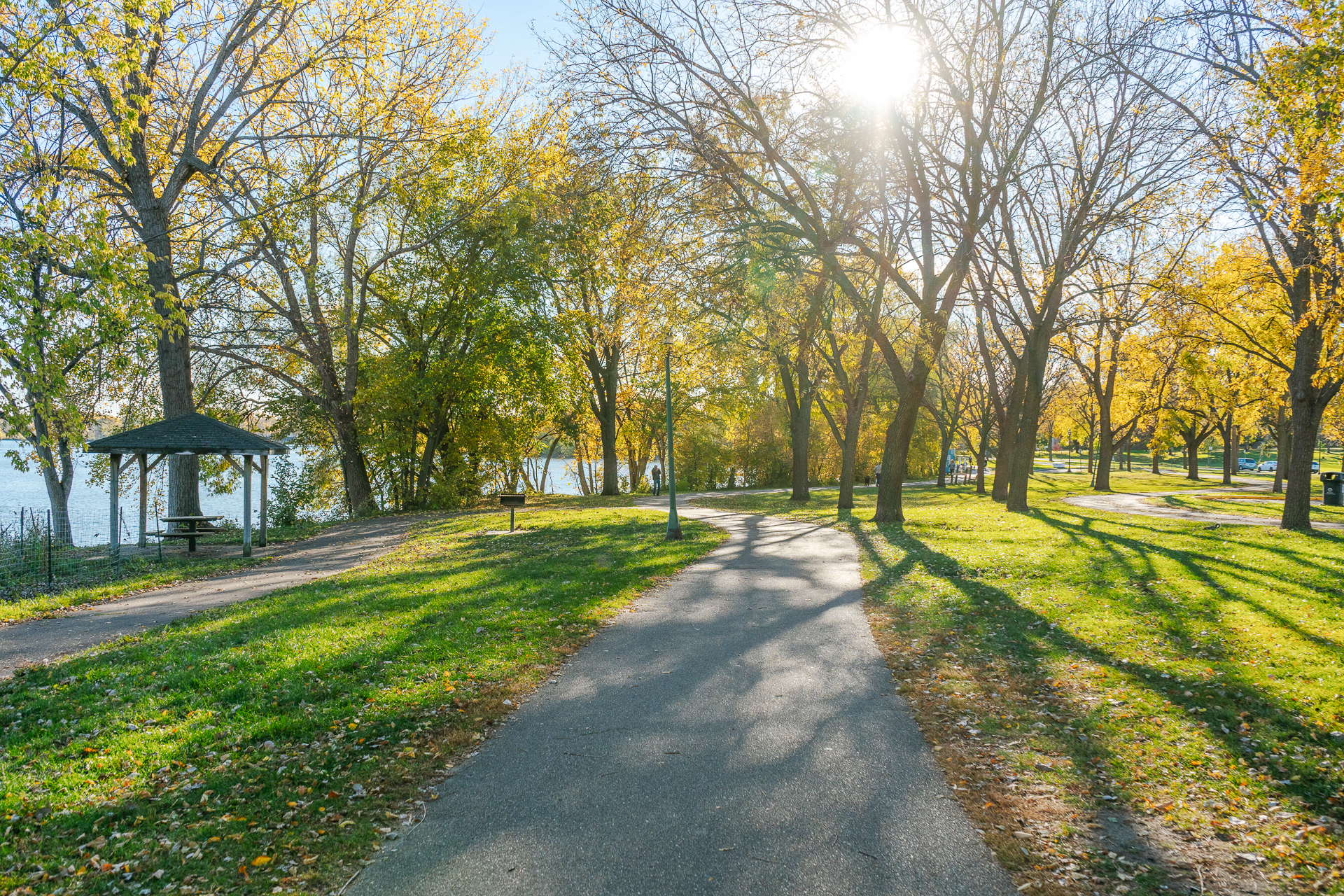 A beautiful autumn day in the park, featuring colorful foliage and a scenic path leading to the water.