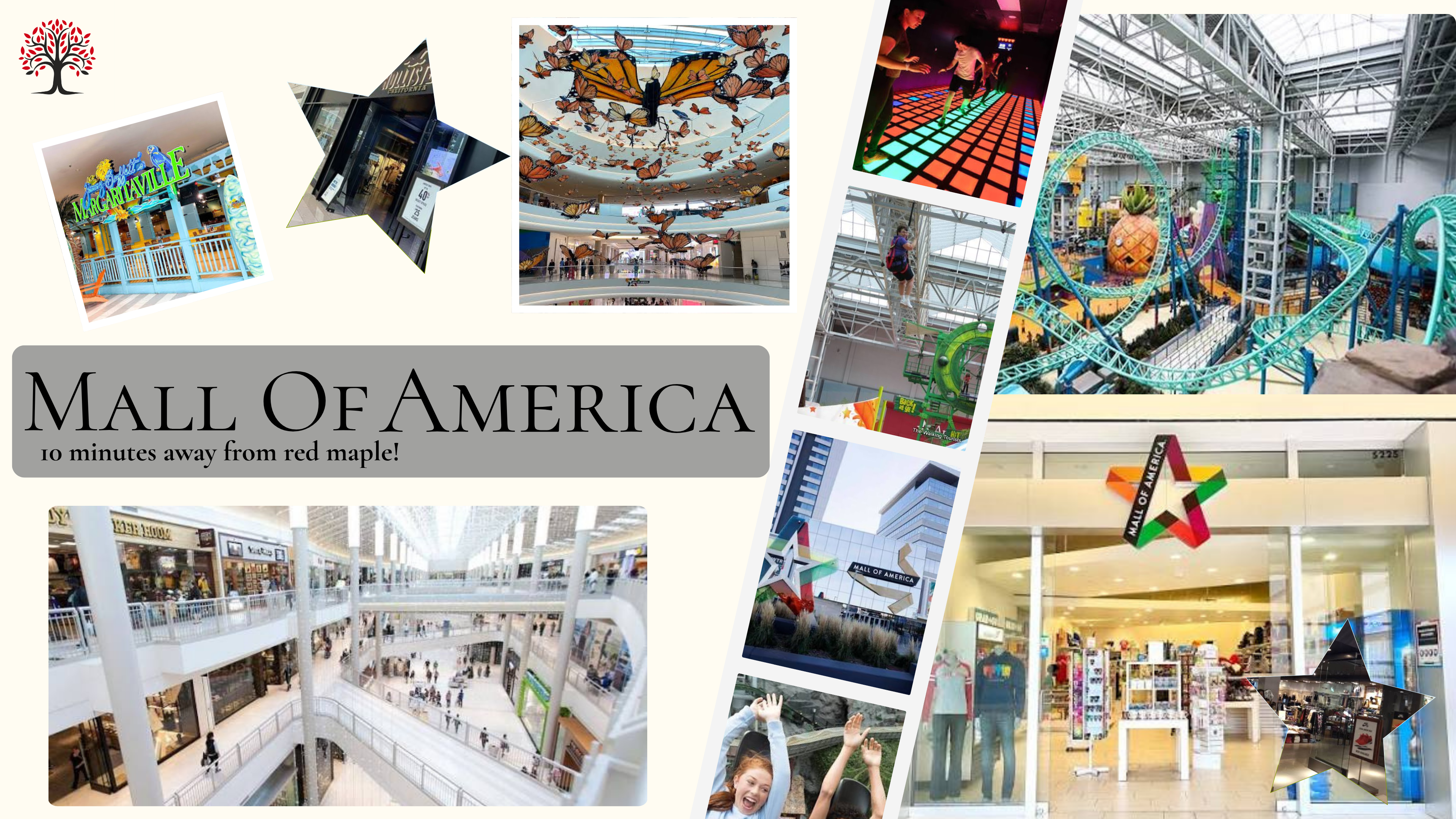 A lively collage showcasing the diverse attractions at the Mall of America.