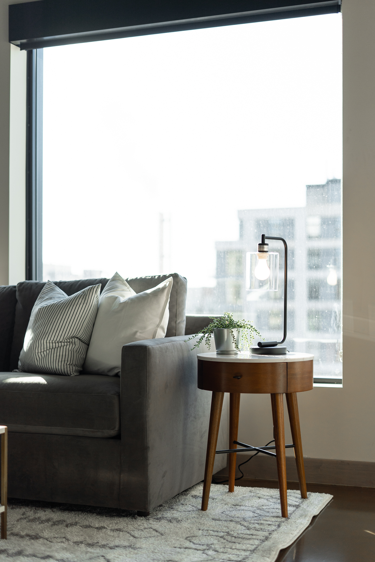 A modern living room scene with a cozy gray sofa, stylish lamp, and a touch of greenery.