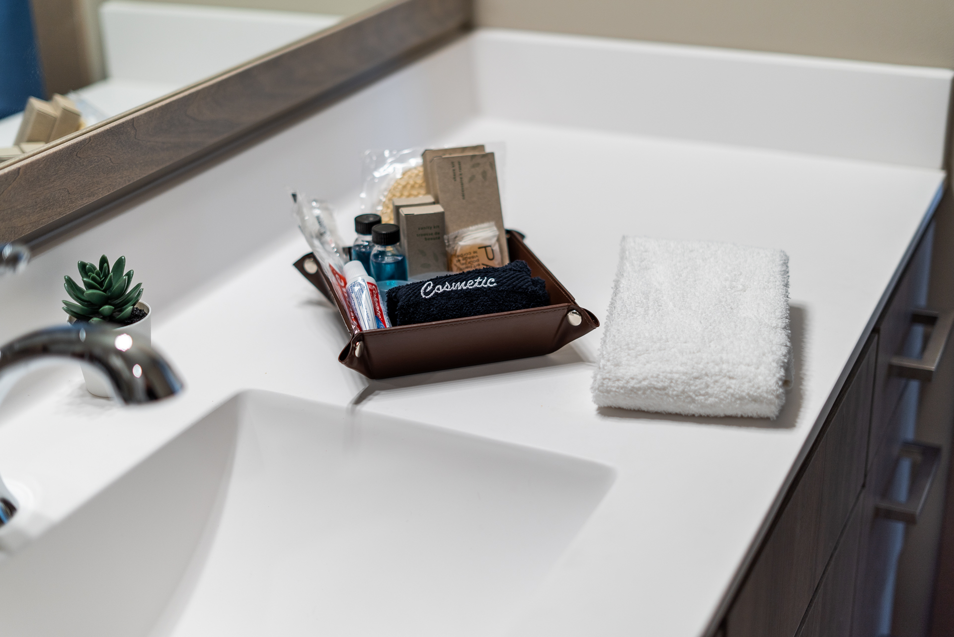 A neatly arranged bathroom countertop with personal care items and a succulent.