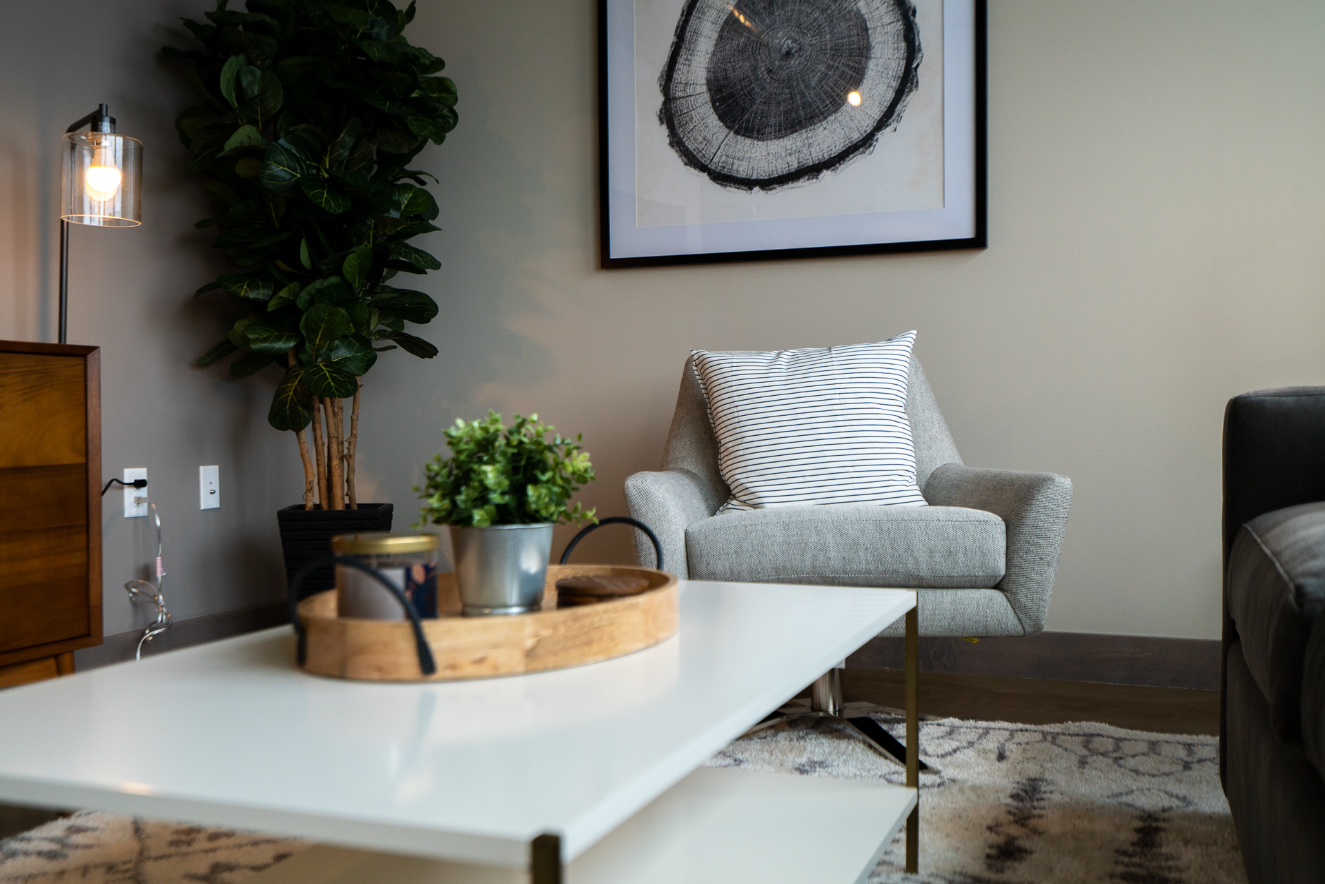 A cozy living room corner with modern decor and greenery.