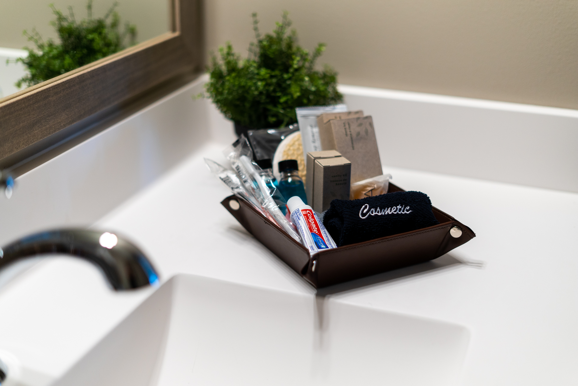 A well-organized bathroom counter featuring toiletries in a leather tray and a potted plant.