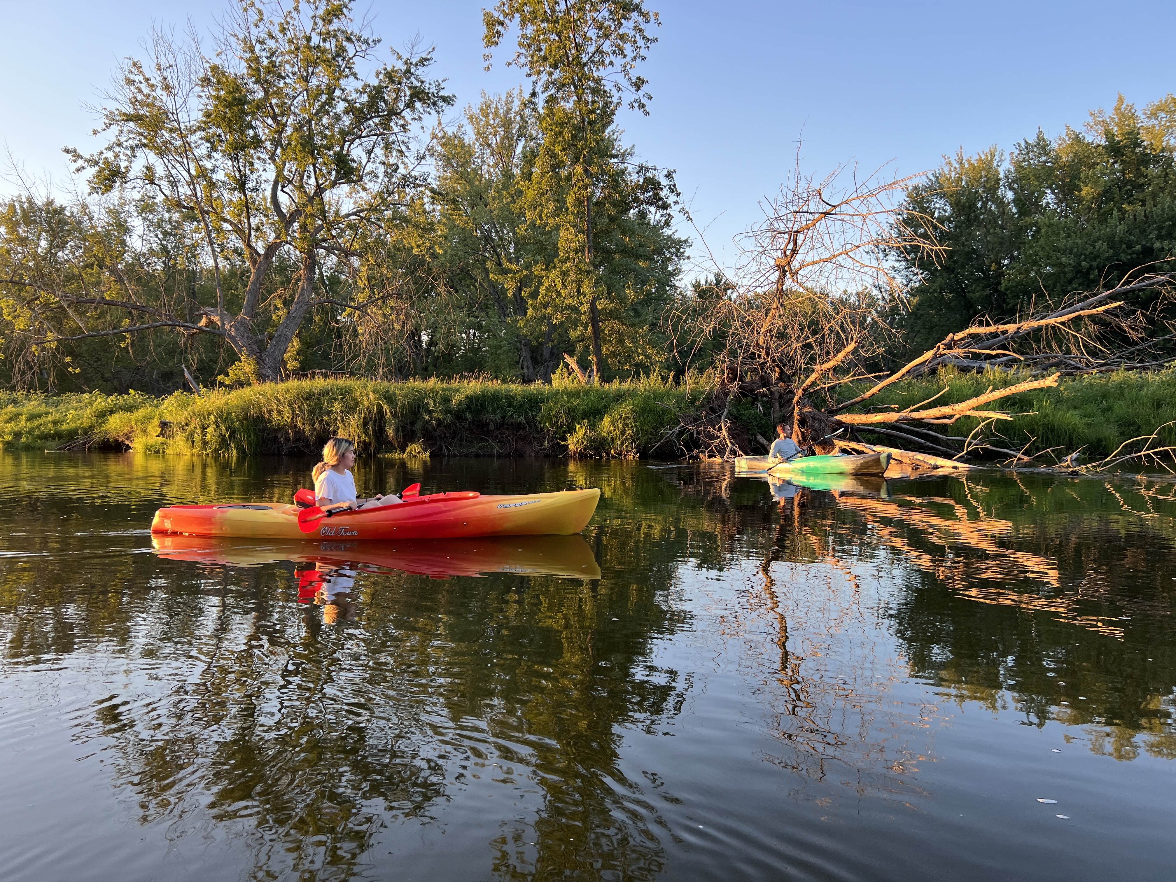 Two kayakers navigating a calm river during golden hour, surrounded by lush nature.