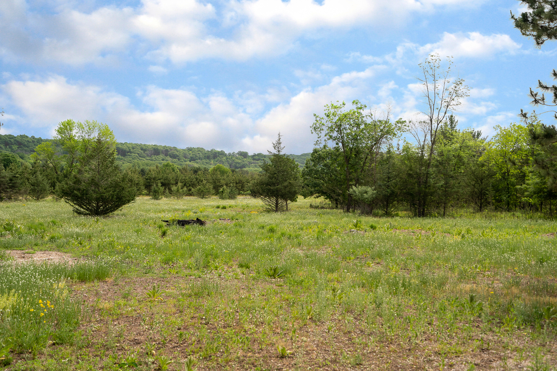 A peaceful meadow surrounded by trees under a partly cloudy sky.