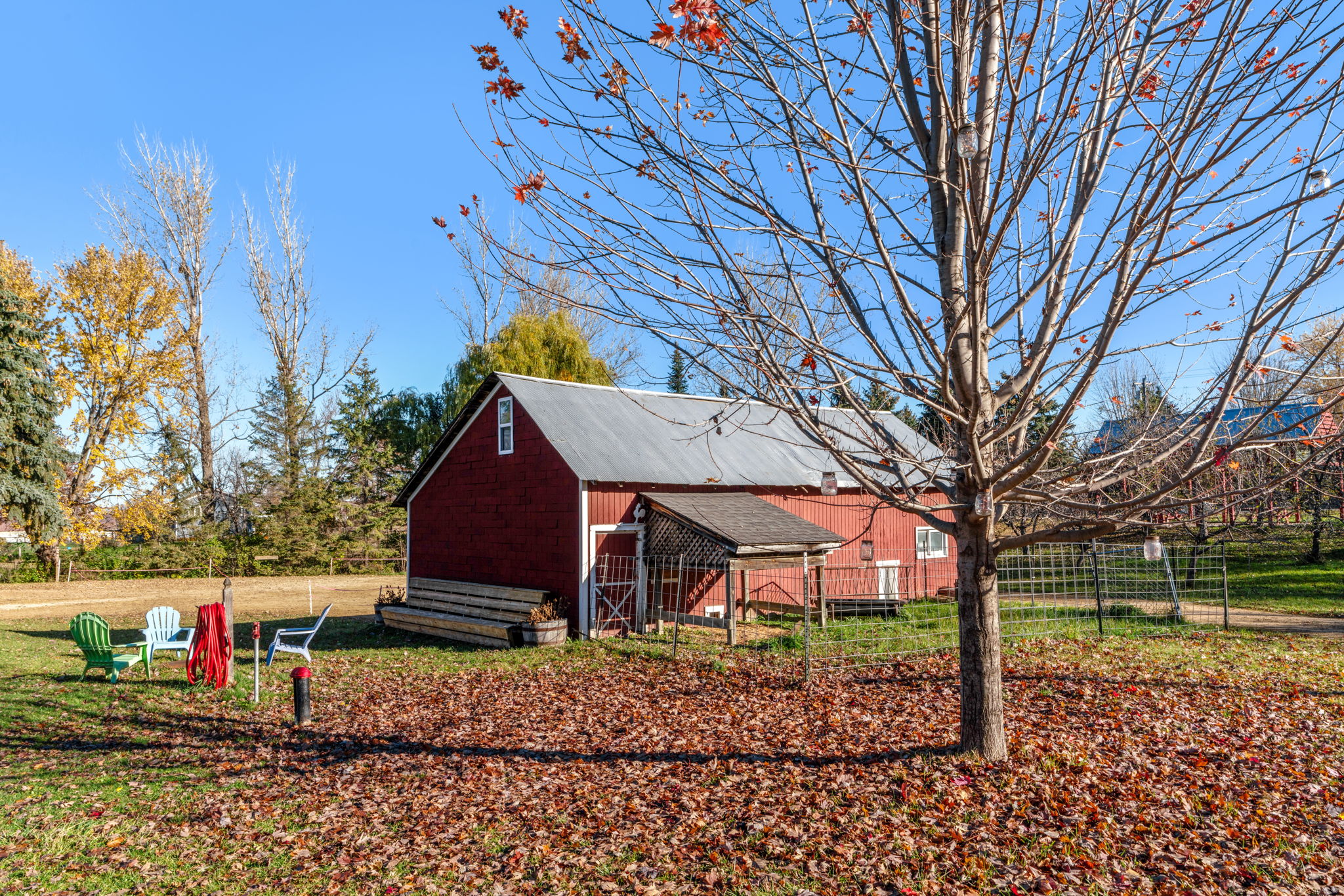 A cozy autumn scene featuring a red barn and colorful lawn chairs.