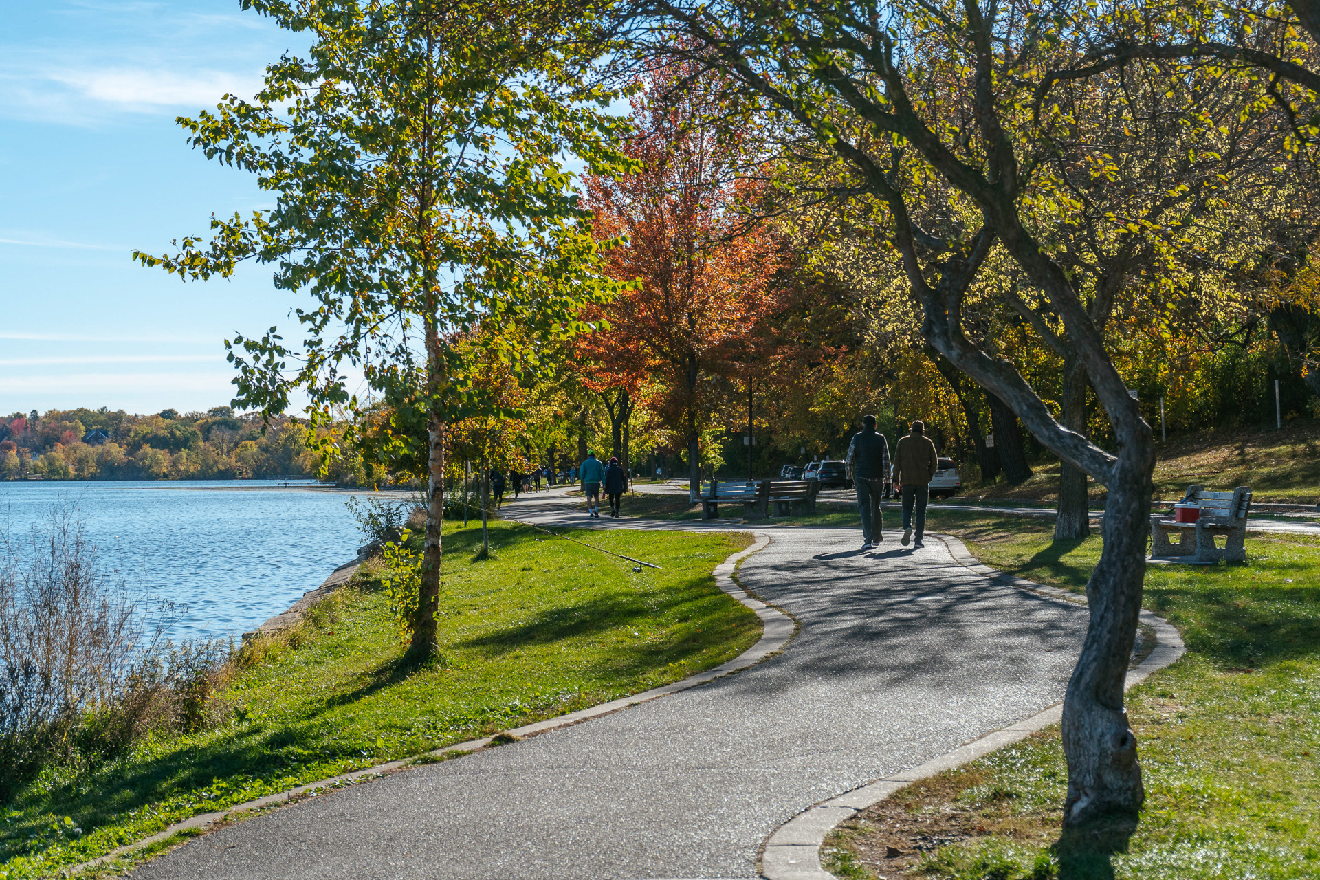 A peaceful park path lined with colorful autumn trees along a serene lake.