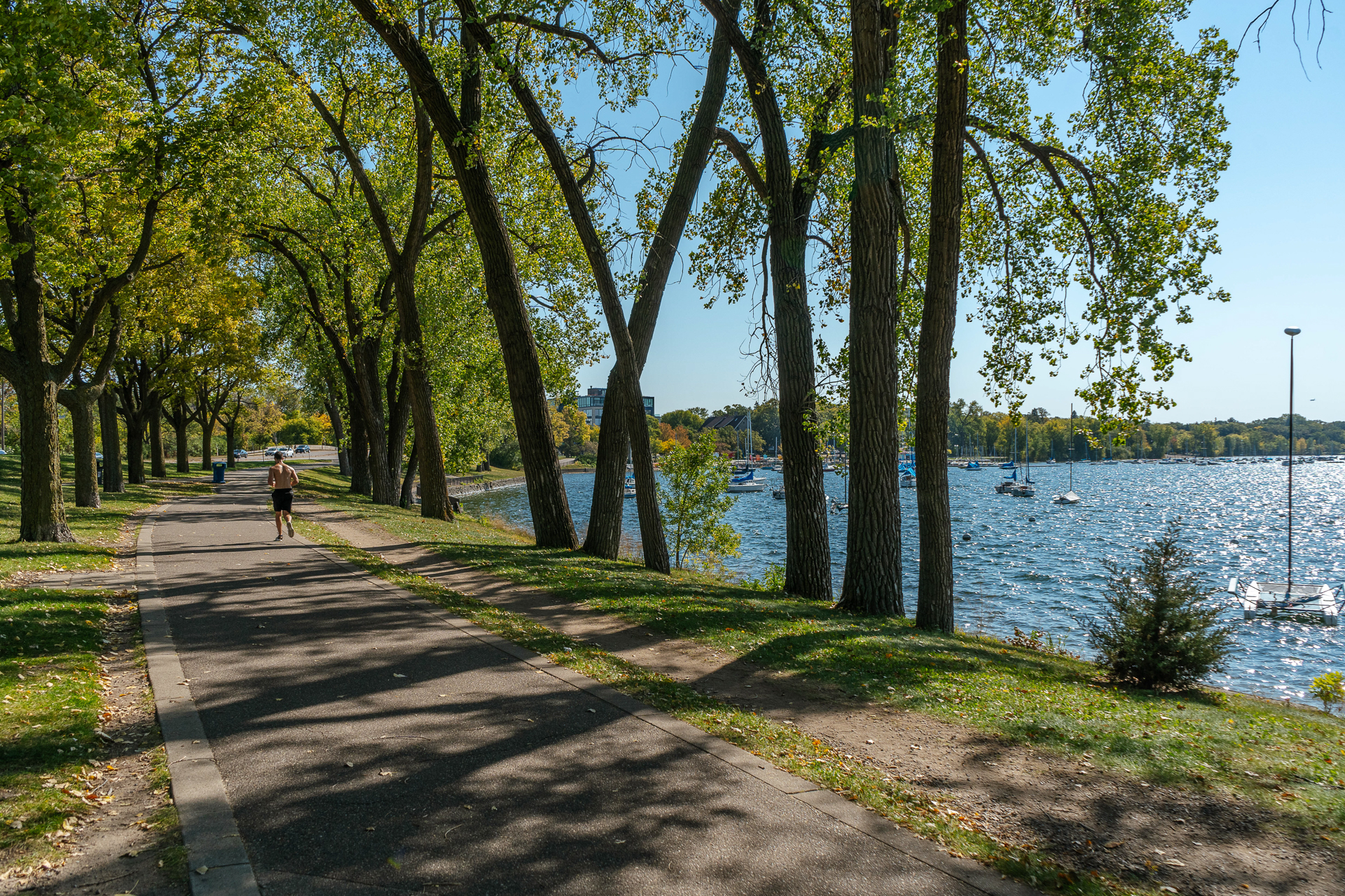 A jogger enjoying a sunny day by the lakeside path.