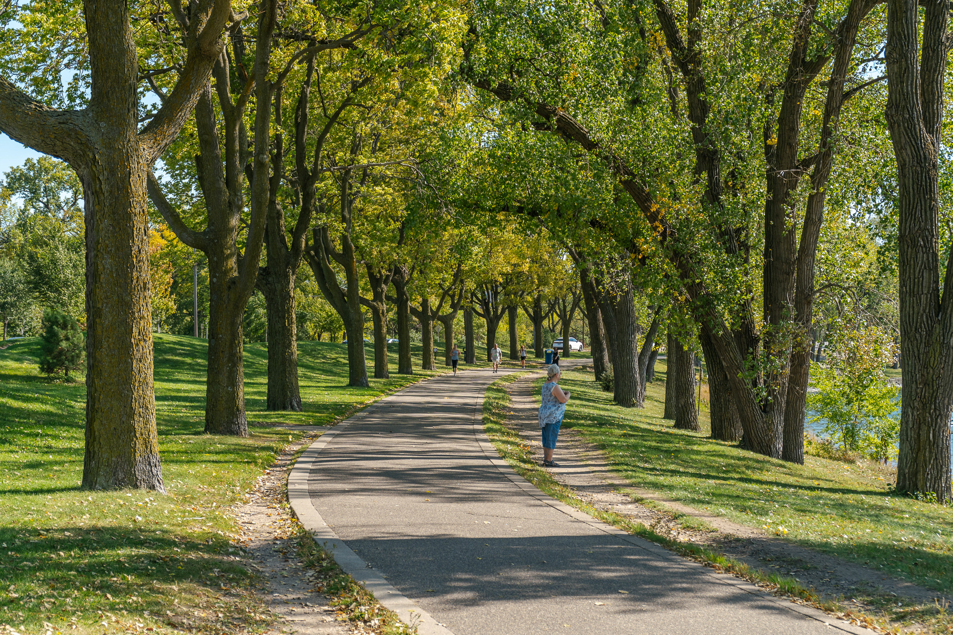 A peaceful park pathway surrounded by vibrant trees, perfect for a leisurely walk.