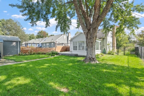 A backyard with green grass, a large tree, and neighboring houses.