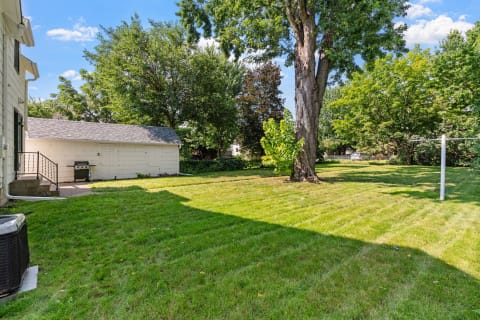 A backyard with a white shed, green lawn, and a mature tree under a blue sky.