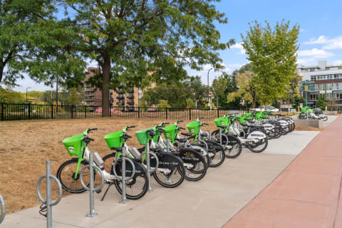 Rental bicycles parked in a city area with green trees and buildings in the background.