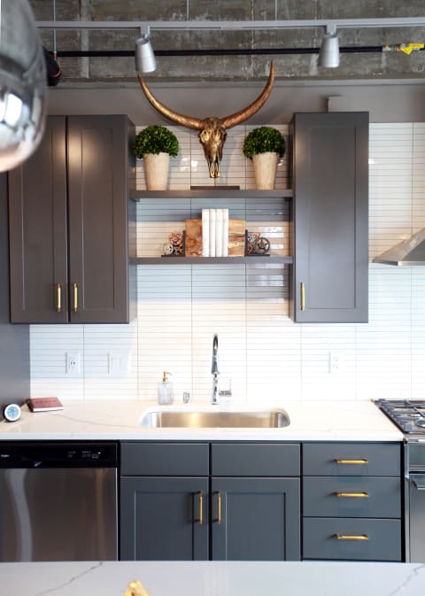 Modern kitchen with gray cabinets, decorative bull skull, and potted plants on shelves.