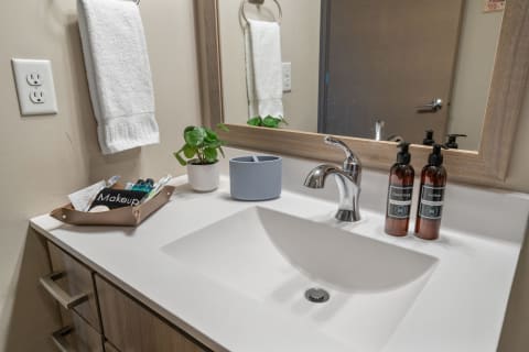 Modern bathroom countertop with soap, lotion, a plant, and a makeup tray.