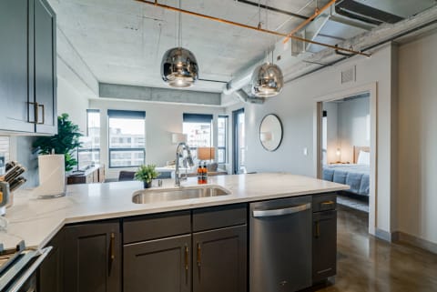 Modern kitchen with dark cabinets and a bright living area in the background, featuring large windows.