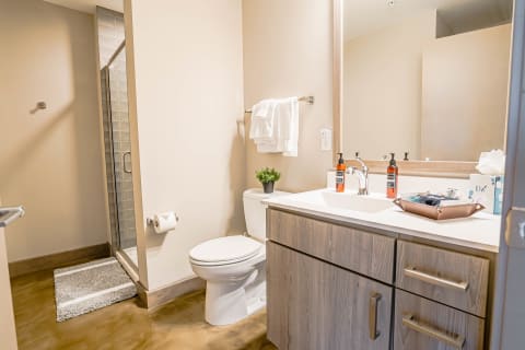 Contemporary bathroom showcasing a glass shower, toilet, and dual sink vanity with potted plant decor.