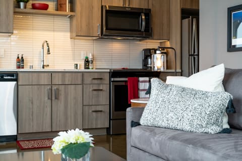 Modern kitchen with sleek cabinetry and cozy living area decor.