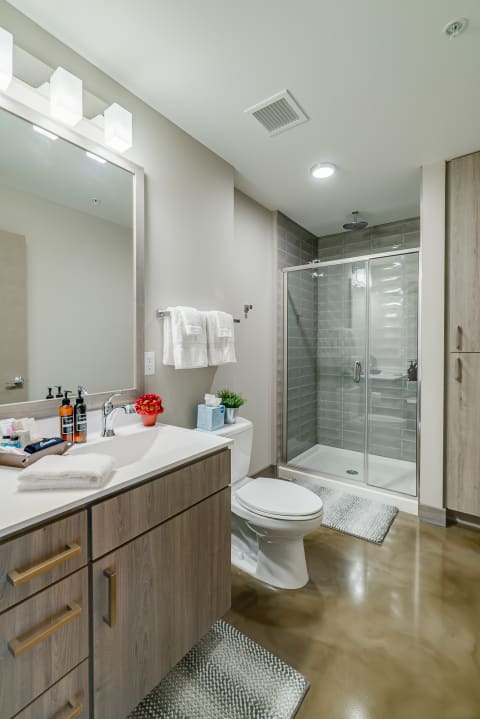 A stylish bathroom featuring a double-sink vanity, modern shower, and decorative elements.