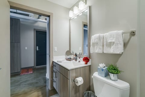 Modern bathroom with a vanity, mirror, and decorative elements.
