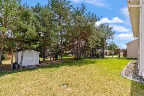 View of a backyard with trees, a white shed, and green grass.